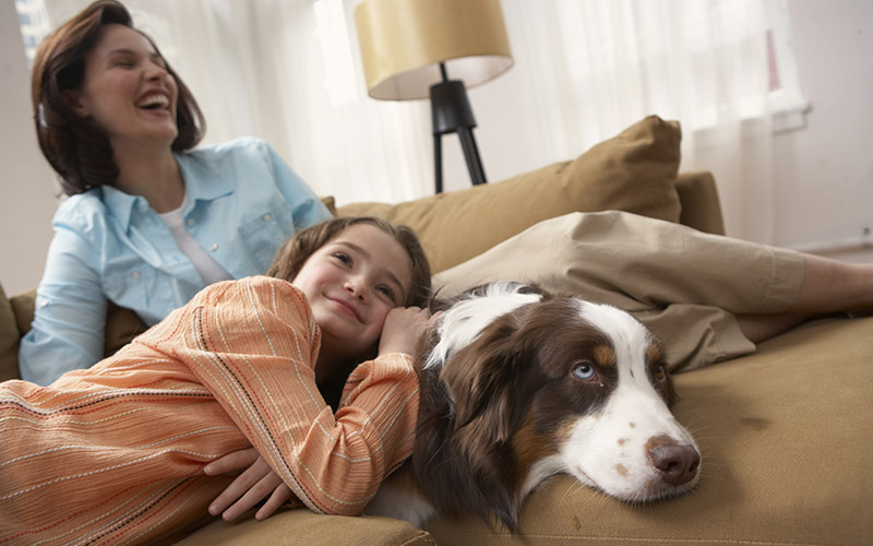 family enjoying good airflow