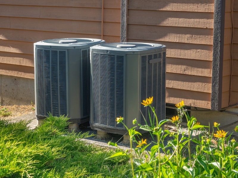Outdoor Ac Unit With Flowers