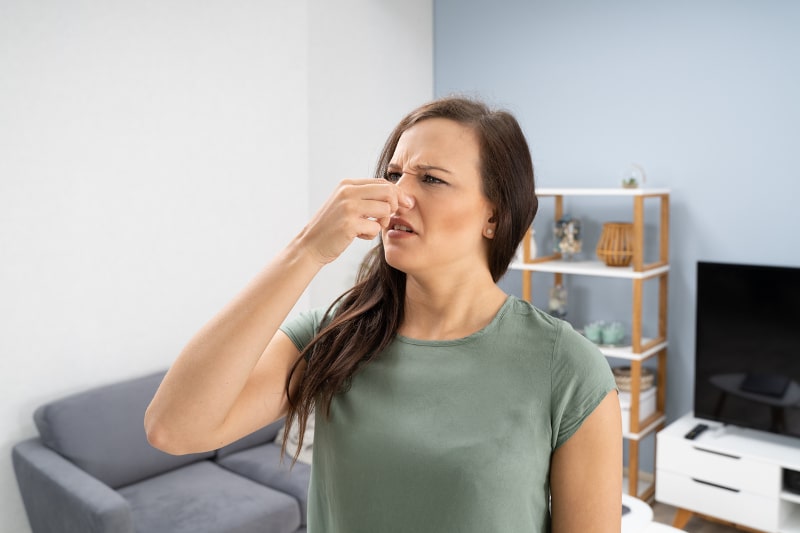 Smelly Ac System